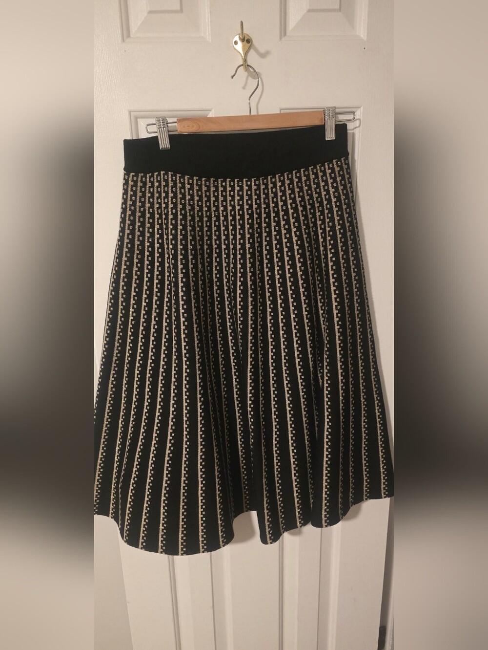 Black and Gold Pleated A-Line Skirt
